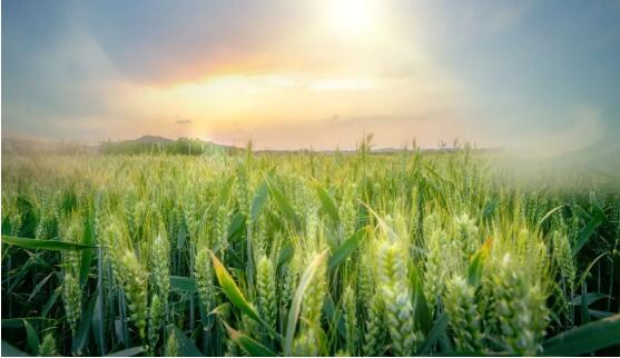 1653030025421582.jpg QQ截图20220414154406.jpg