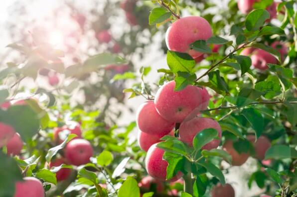 1661235429100621.jpg 35.jpg