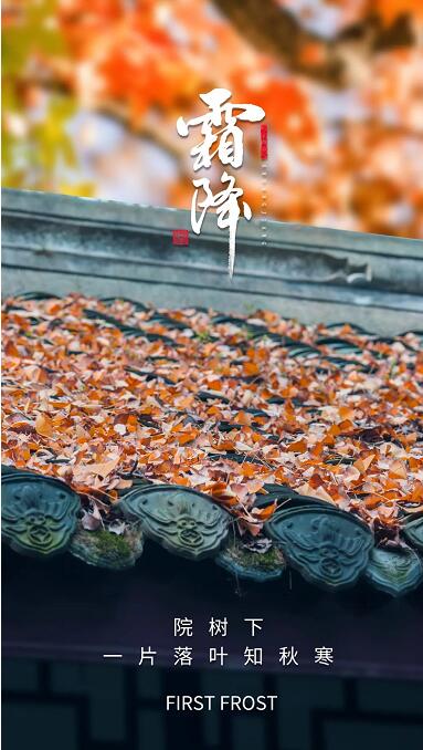 1666343120112747.jpg 41.jpg