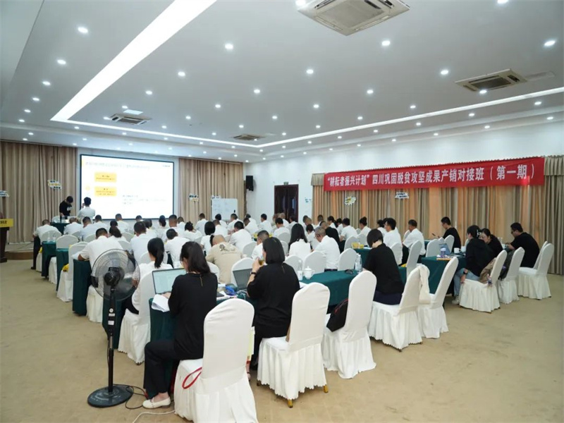 1729662999428005.jpg 1.jpg