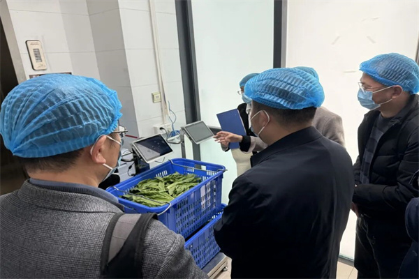 1764830717958769.jpg 5.jpg